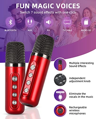 Mini Karaoke Machine - 2 Wireless Microphones
