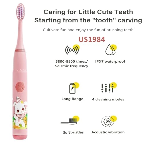 Sonic Electric Toothbrush - 4 Modes 3 Brush Heads Rechargeable