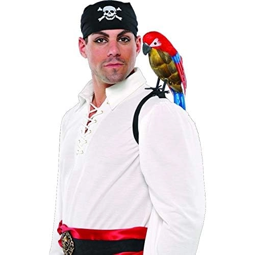 Pirate Parrot - 18.5" x 6.5" 1 Piece
