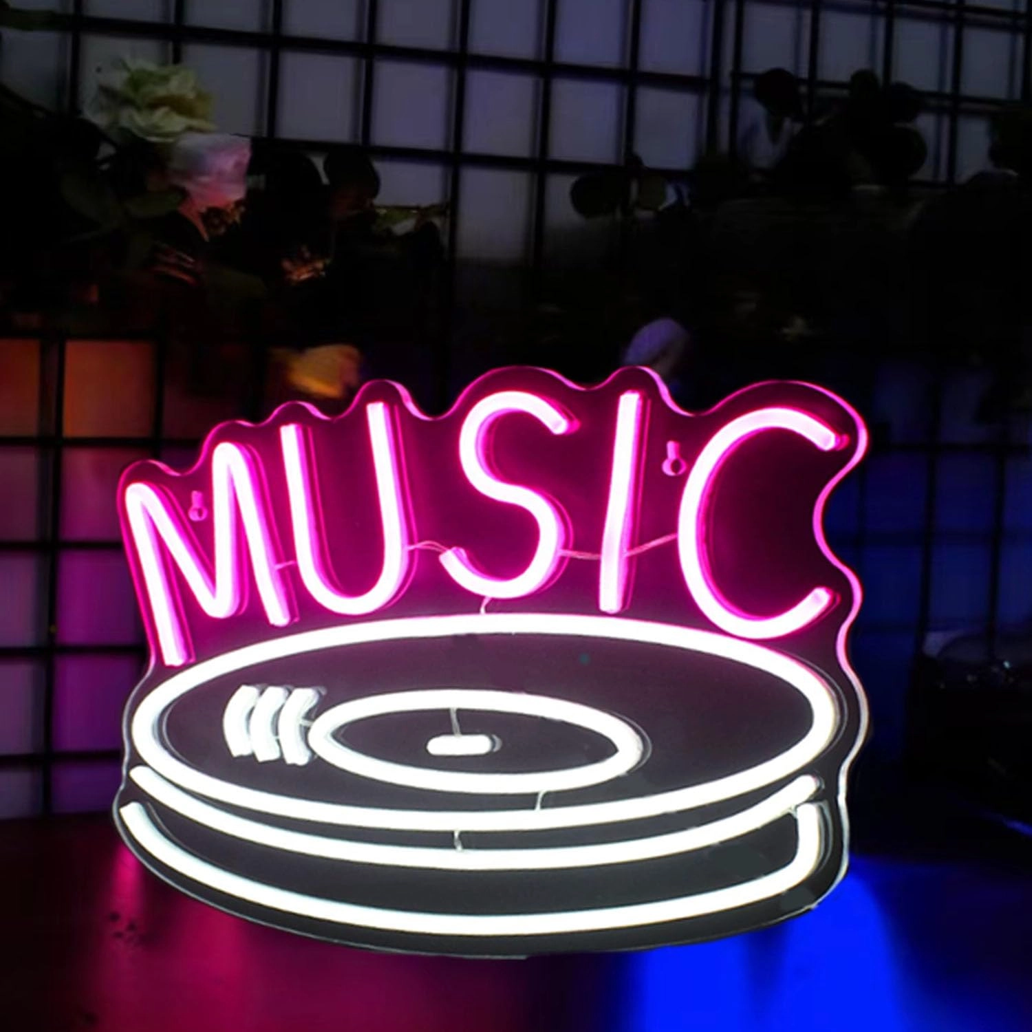 hfhungkeong Record Neon Sign - 15.7X10.2IN USB Powered LED Neon