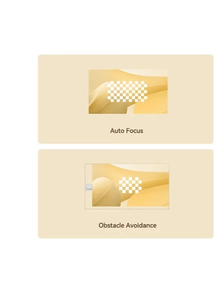 Dali 1 350 ANSI Lumens