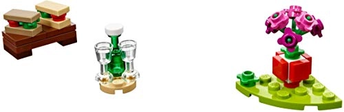 Romantic Valentine Picnic (40236)