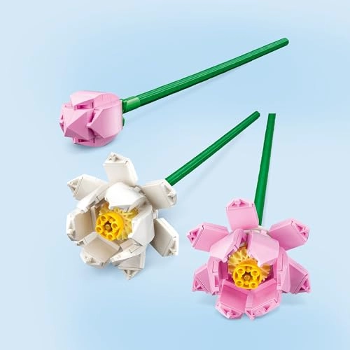 Lotus Flowers (40647) - Iconic