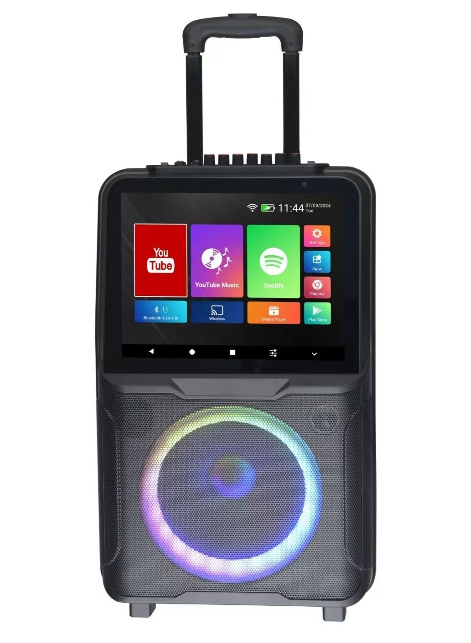 SA-8908 - Dual Wireless Microphones