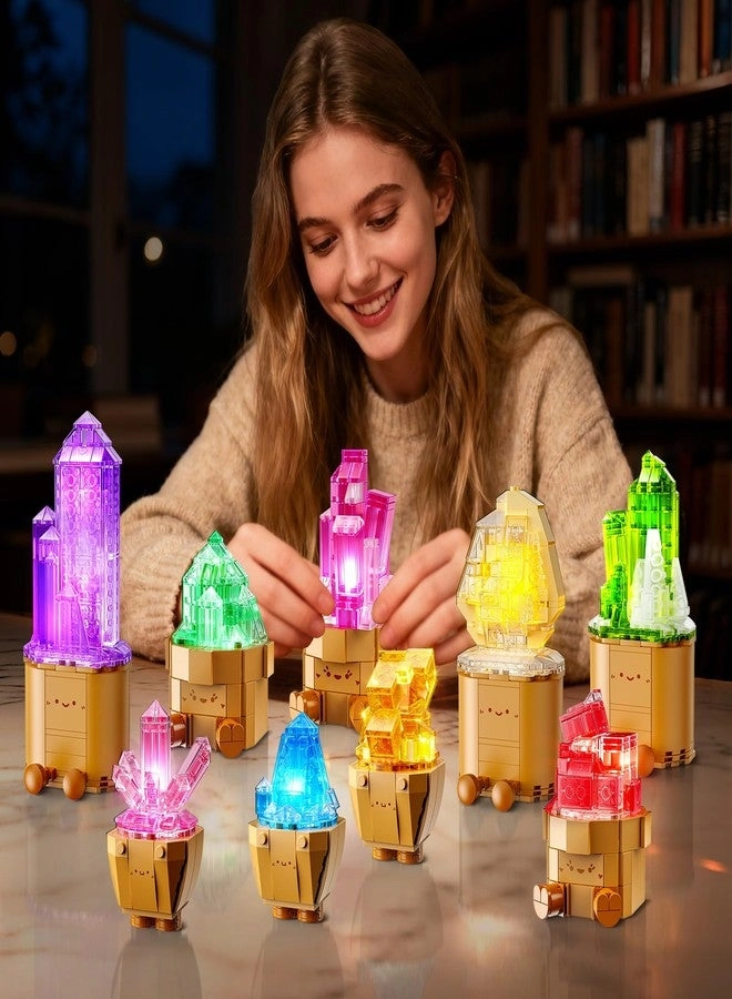 Mineral Collection - 1170 pcs Pack