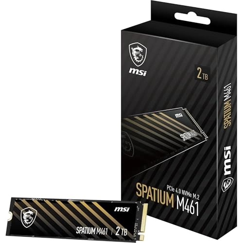 Spatium M461 - 2TB M 2