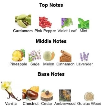 Platinum - Eau de Parfum 100ml