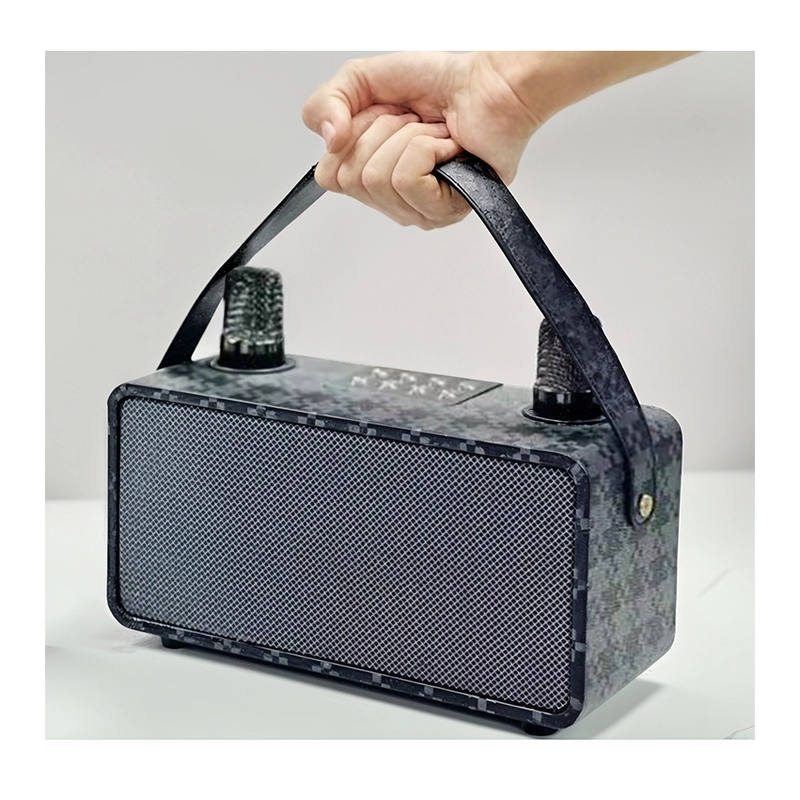 Pulz Mini Karaoke - 2 Microphones