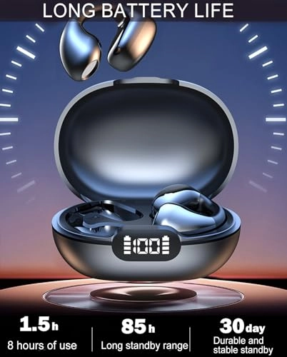 HE2BUDS24 Wireless Earbud