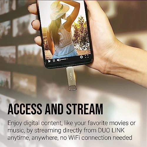 Duo Link - USB 3.2 Gen 2 Type-C 64GB