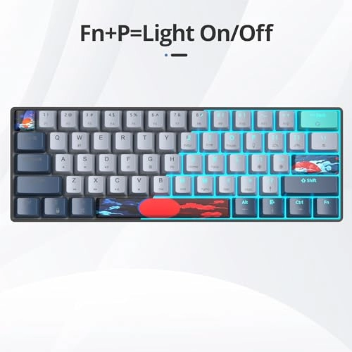 GS61 RGB-61 - US Wired