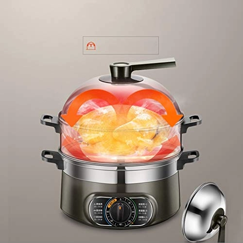 Electric Steamer - 10 Liters