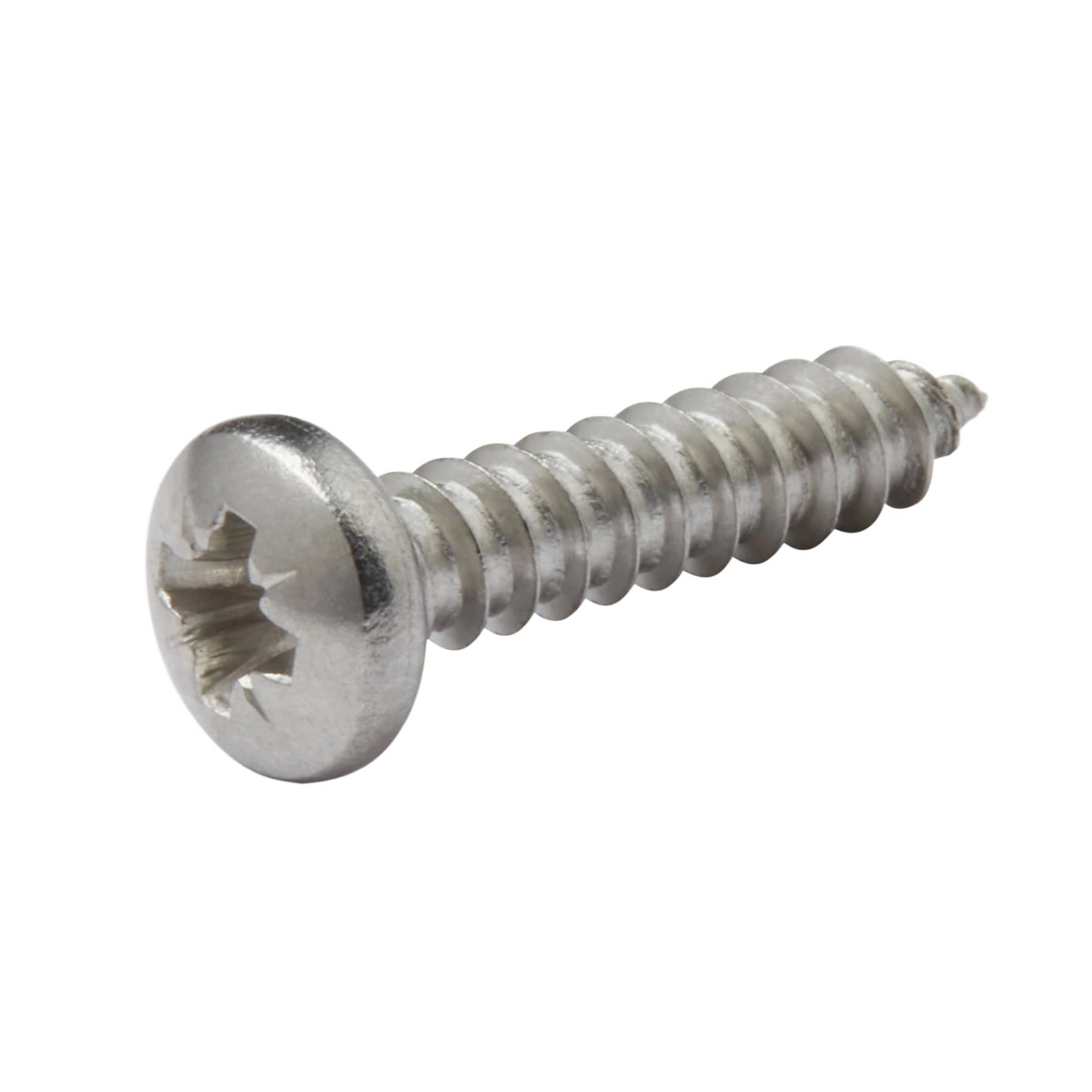 Stainless Steel Self Tapping Screw Pack 4.2mm 19mm