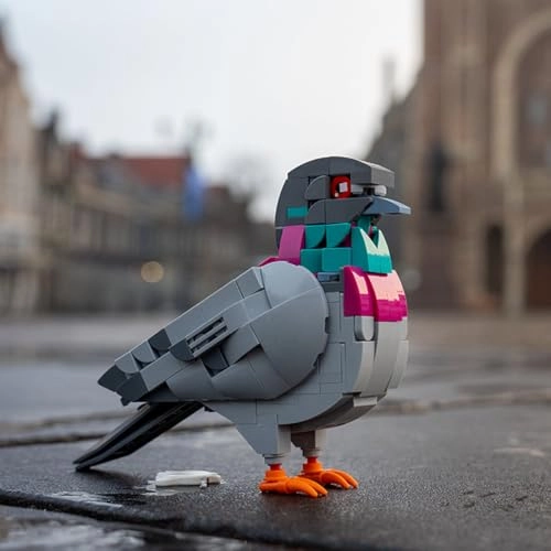 Feral Pigeon - Bird 255 pcs