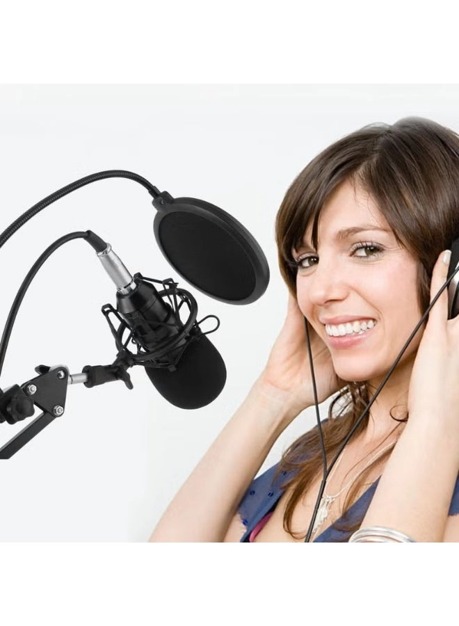Live Sound Card + Condenser Microphone Wireless Microphone