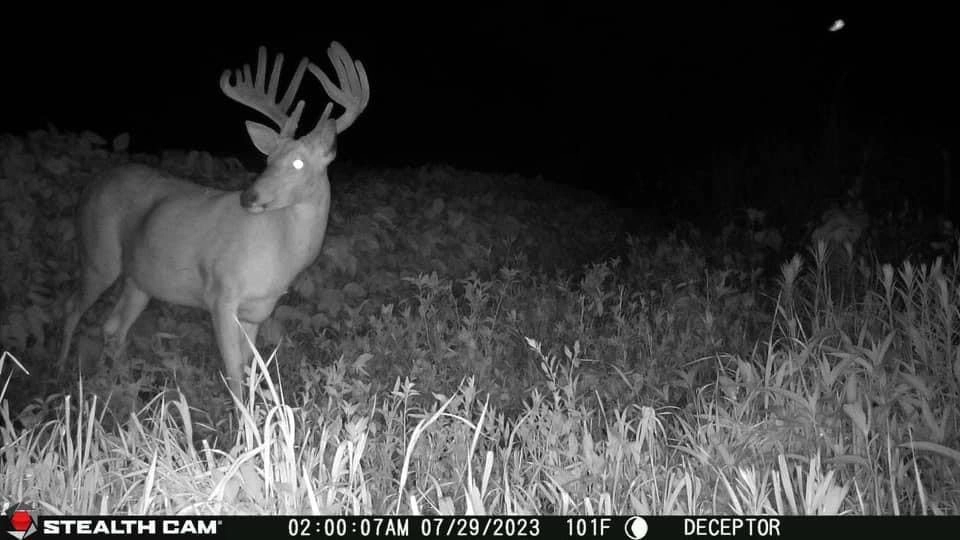 Deceptor - 40MP + FieldMax Lithium Rechargeable Battery Cartridge