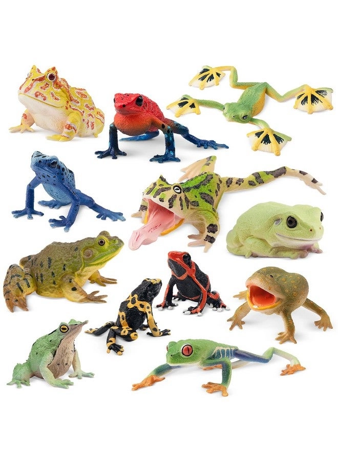 TOYMANY Frog Toy Figures