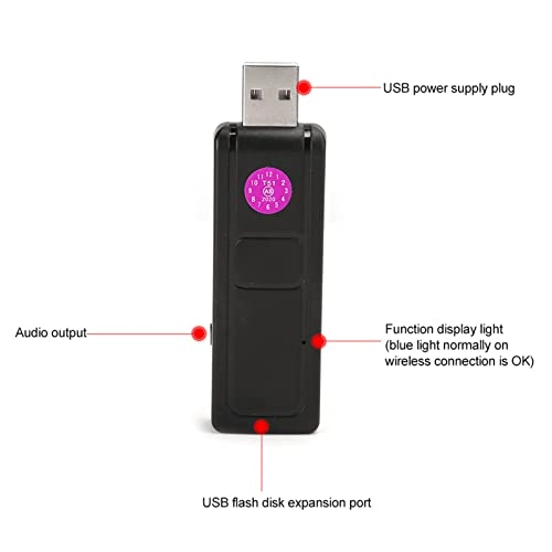 V16U Wireless+USB Microphone