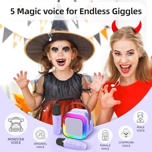 K12 - 2 Wireless Microphones