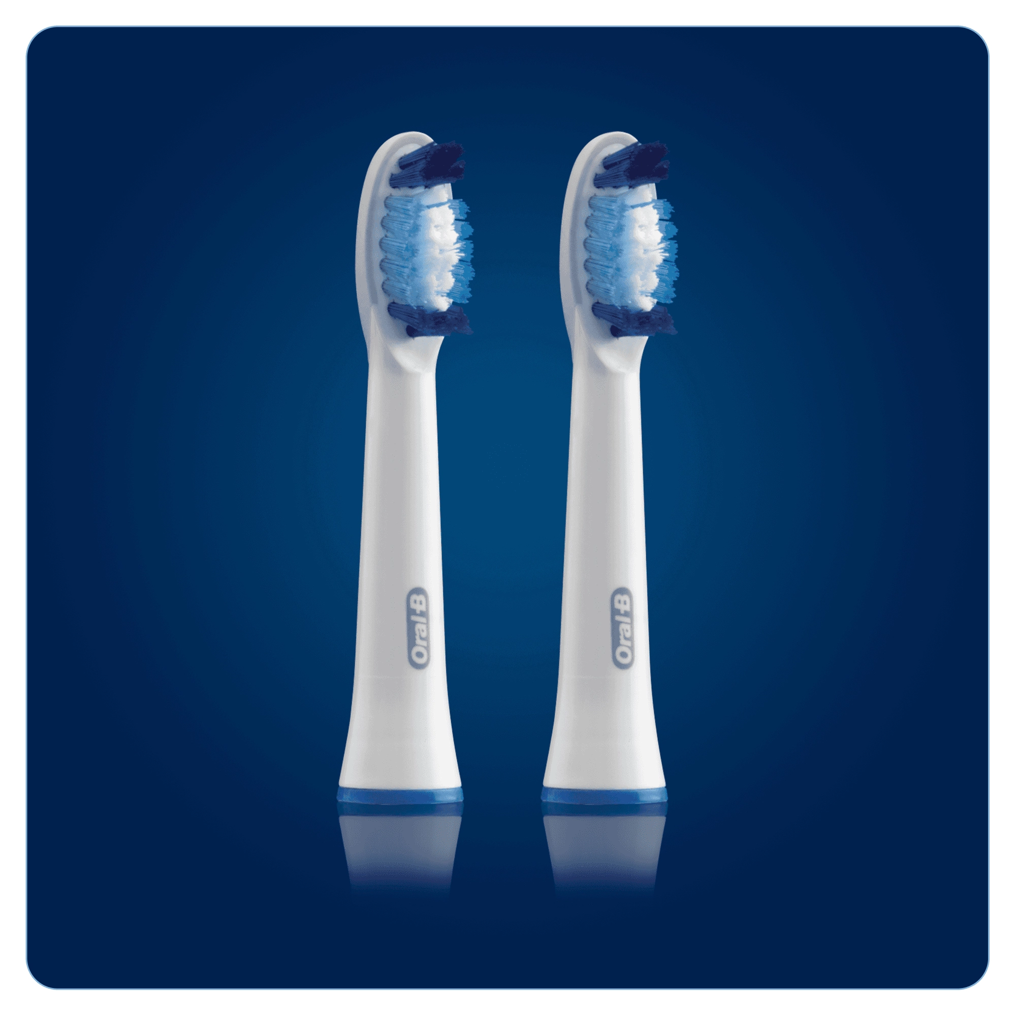 Denture Brush - 2 piece(s) Blue