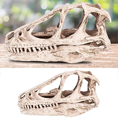 Dinosaur Skull Model - Resin 4.92 x 1.57 x 2.56 inches