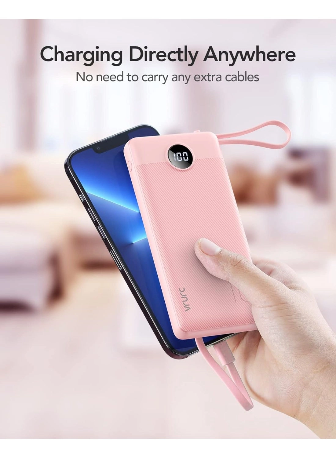 F1110 - 10000mAh 1 USB A port