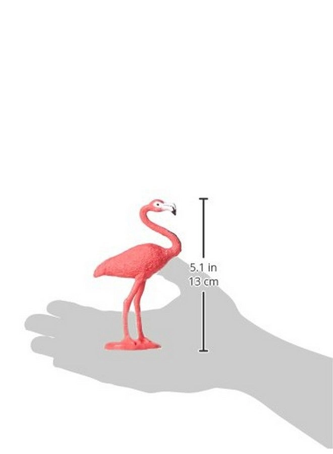 Exotic Birds TOOB 10 pcs