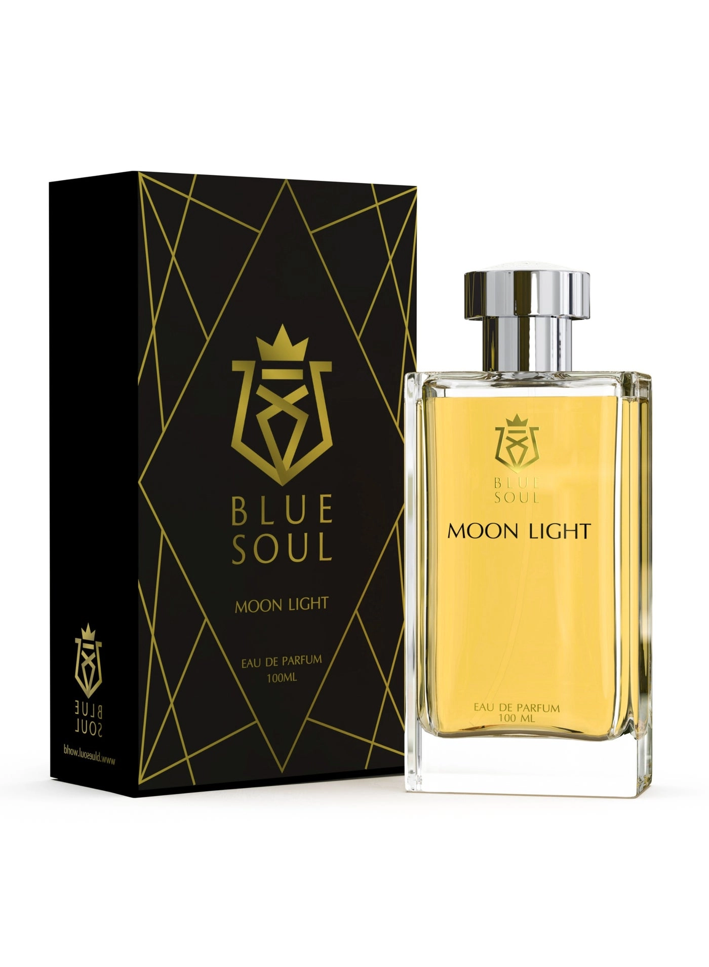 Moon Light Eau de Parfum 100 ml