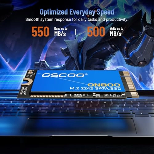 Internal Solid State Drive - 1TB M.2 2242