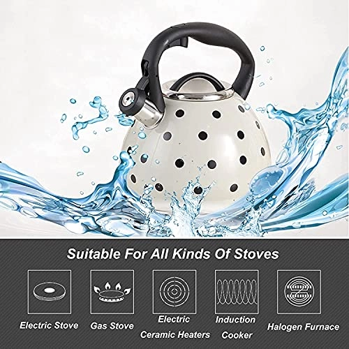 Whistling Teapots Camping CoffeeTea Kettle - 304 stainless steel 3L