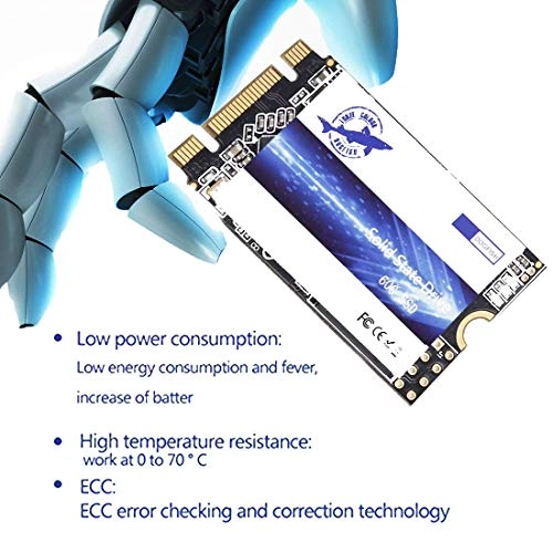 ssd - 500 GB M.2 2242