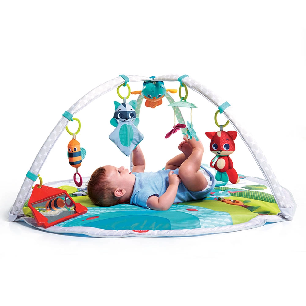 Dynamic Developmental Activity Playgm - 0 month