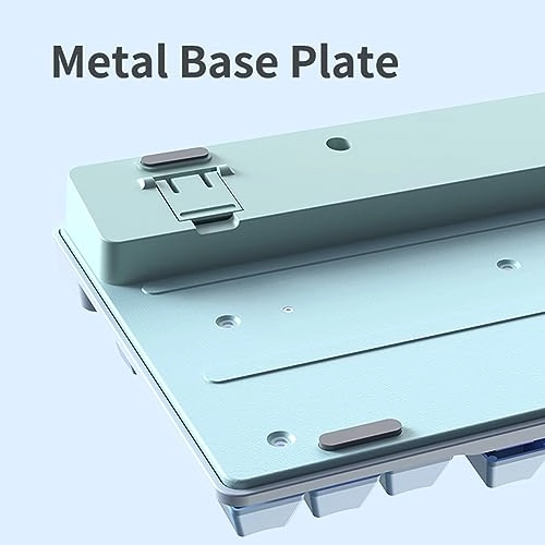 AF981 - Wired/Wireless