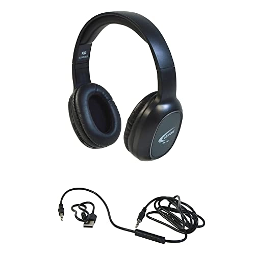 BH-202 Wireless Headset