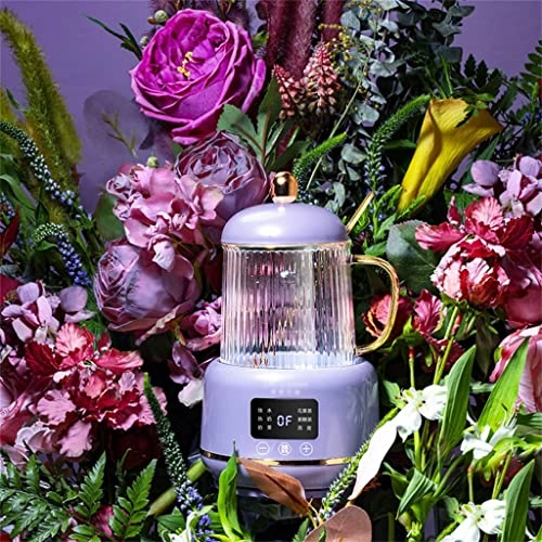 Temperature Control Smart Kettle