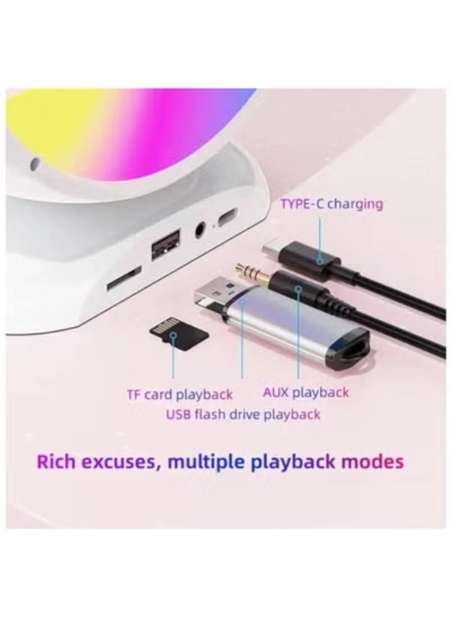 PK2025 - 2x Wireless Microphones