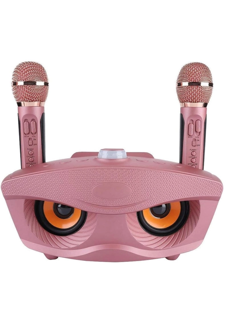 SD-508 - Dual Wireless Microphones