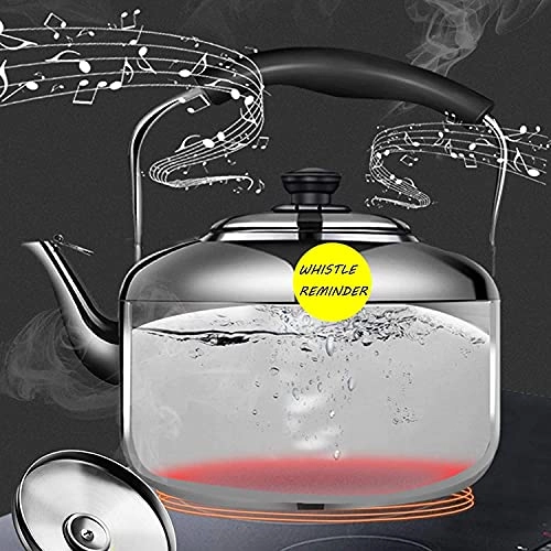 Stovetop Induction Whistling Kettle - 5L