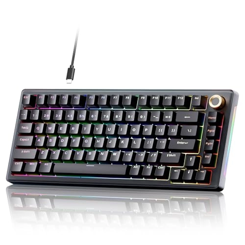 T81E - Wired