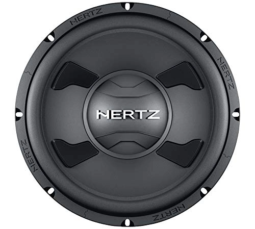 DS-253 - 250 W 10"