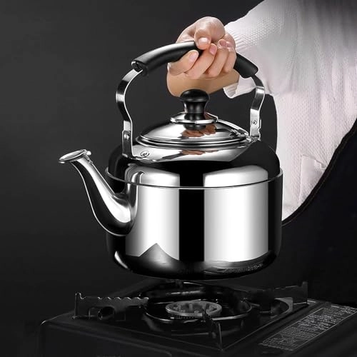 Stovetop Induction Whistling Kettle - 5L