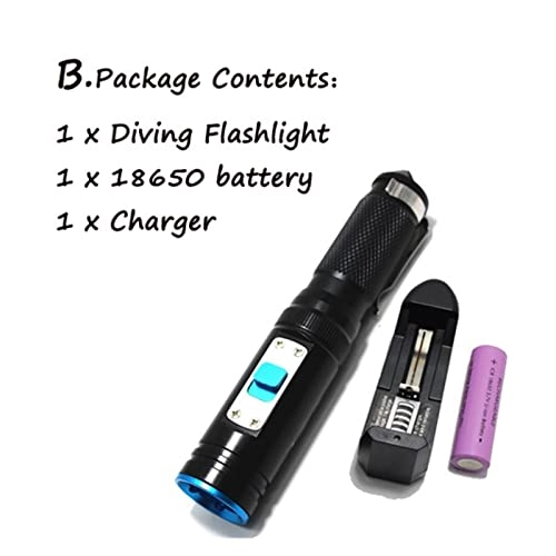 Professional Submersible Light