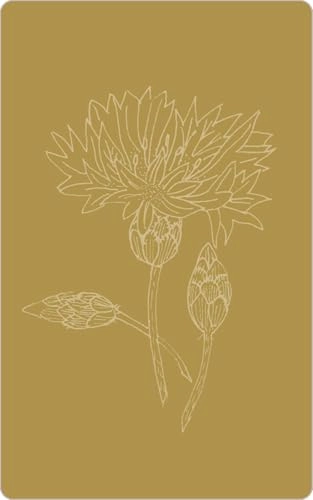 Vogel-Memo - German No batteries required