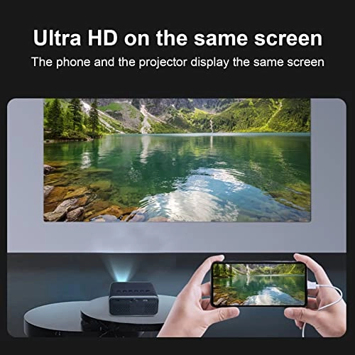 Mini Video Projector - 40±3 ANSI Luminous Flux 480x360 pixels