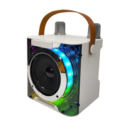 Karaoke Machine - 2 15W