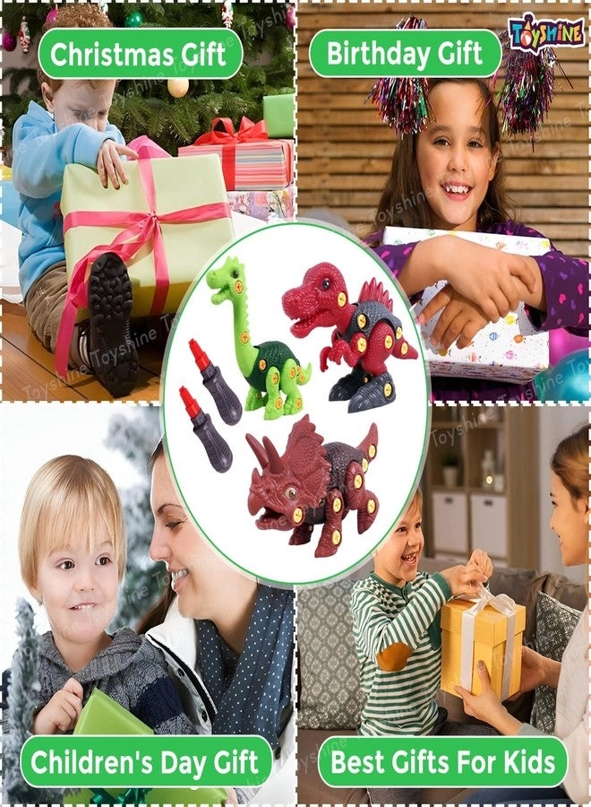 STEM Take Apart DIY Dinosaur Pack