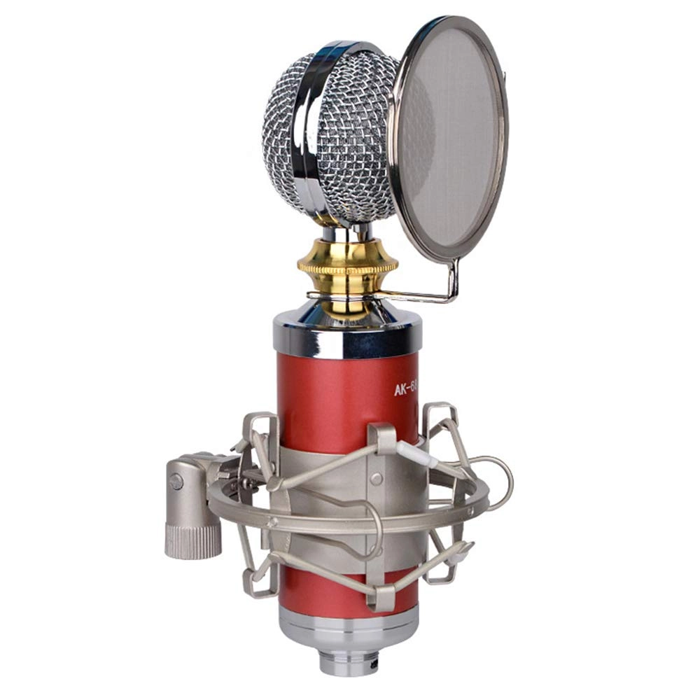 NUNETH (Used) Professional Studio 3.5mm-Mini-Jack Microphone