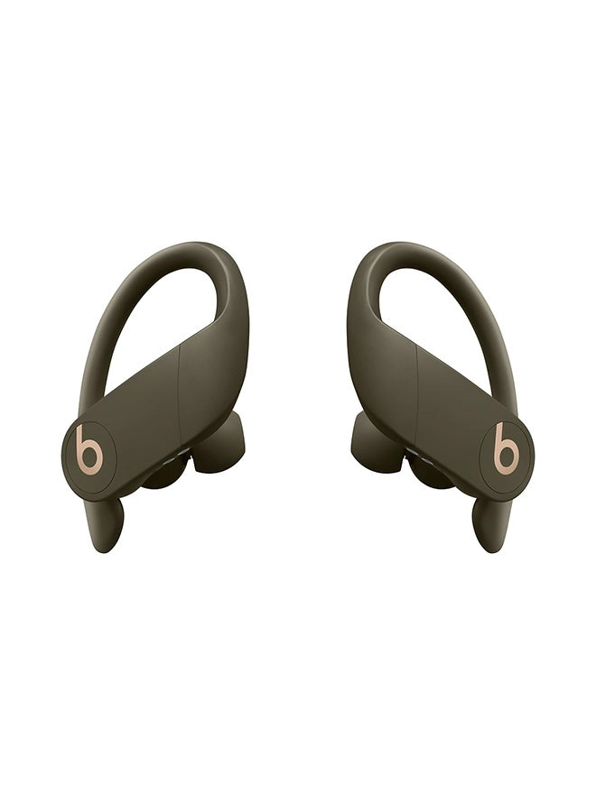 Beats by Dr. Dre Powerbeats Pro - Wireless Earbud