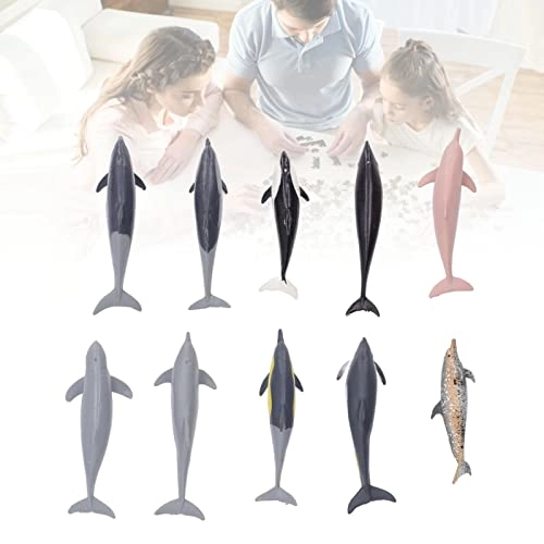 Dolphin Model Toy Science - 4 years and up 10 pieces