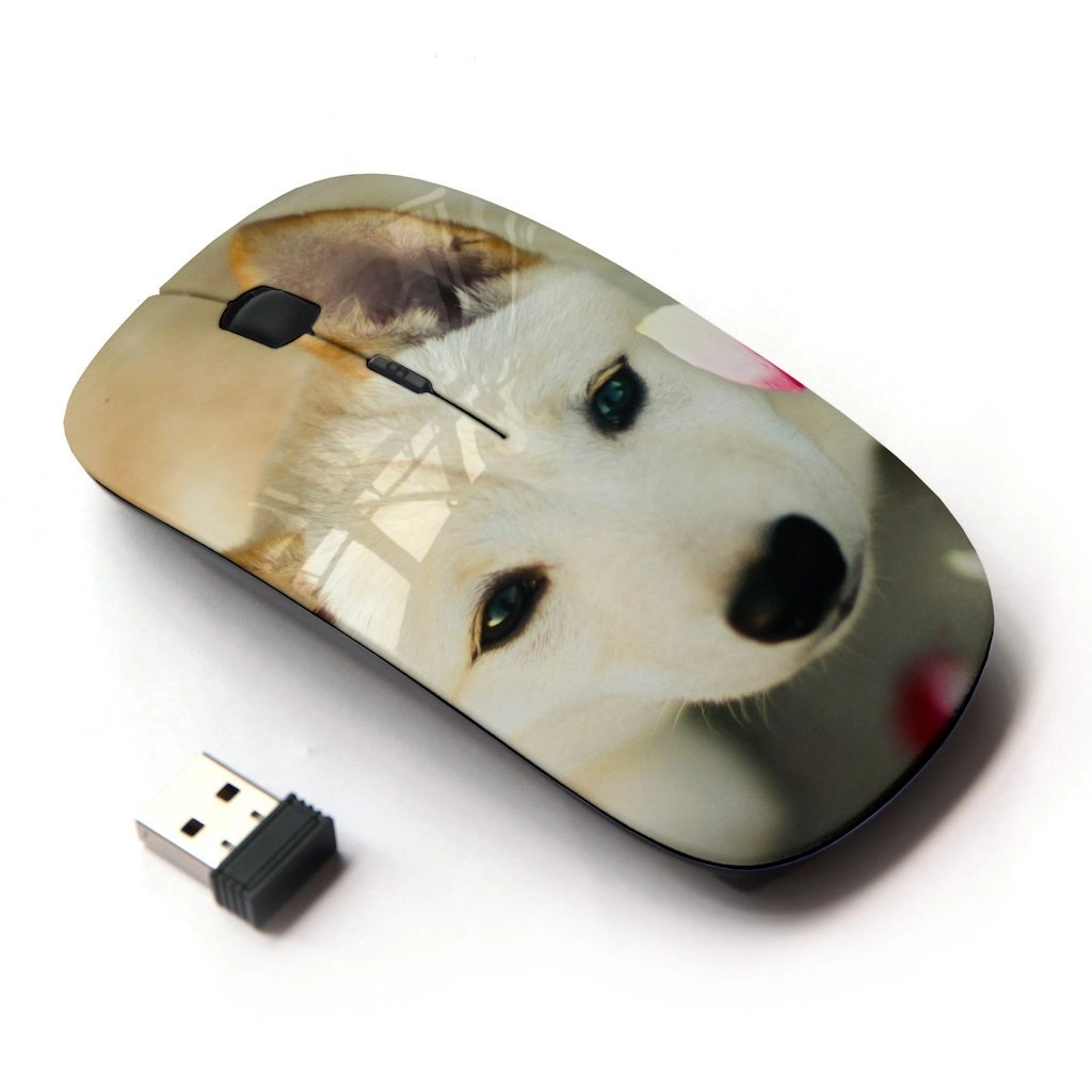 Optical Mouse - Wireless
